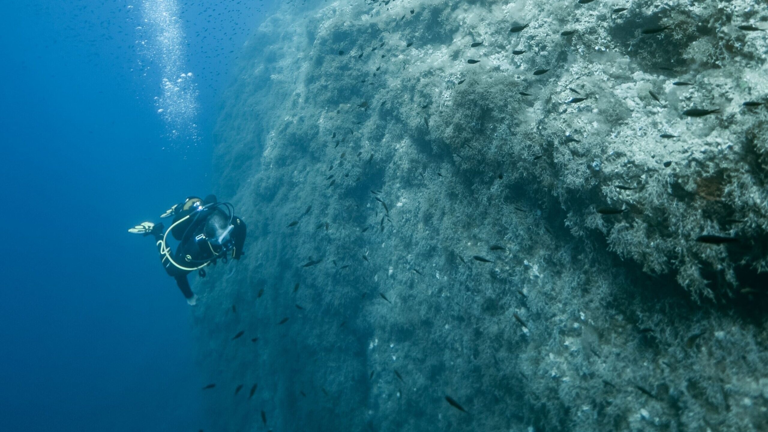 Il Mara reef