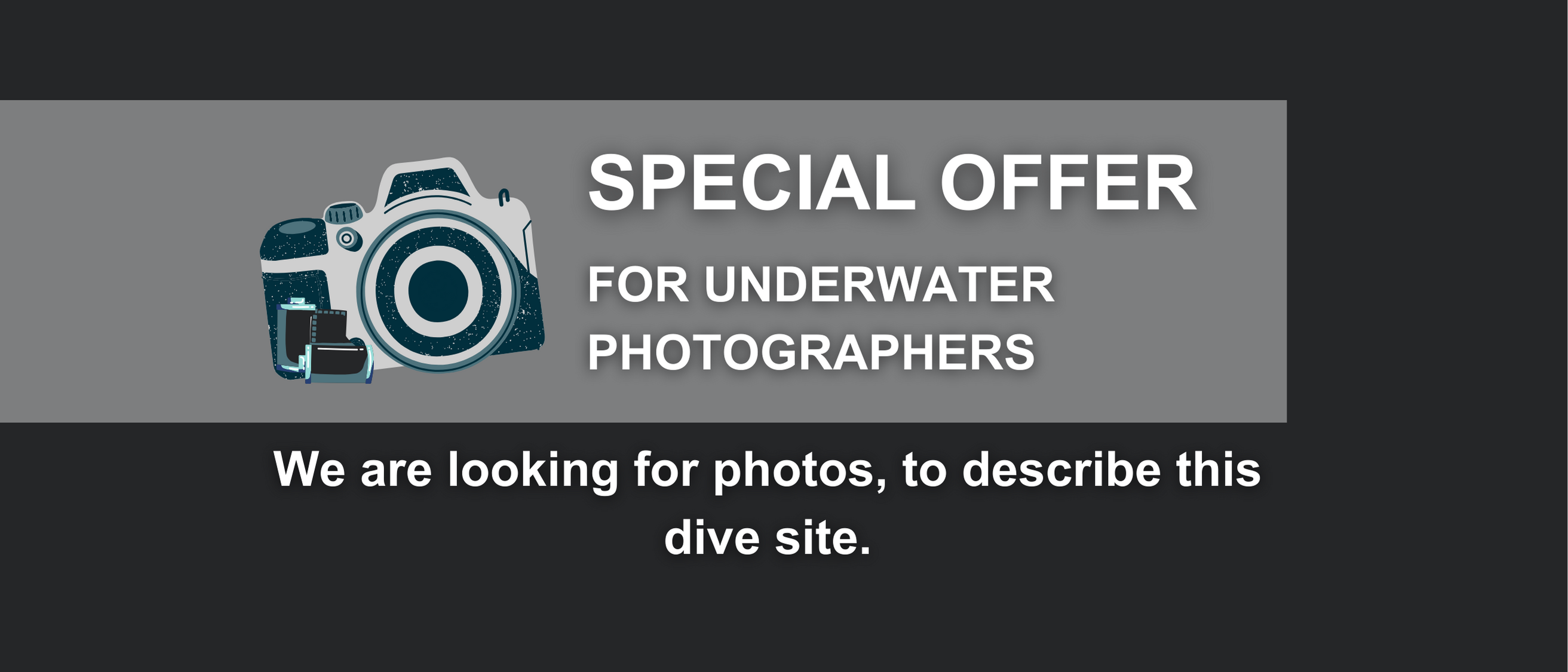 Underwater photographers malta