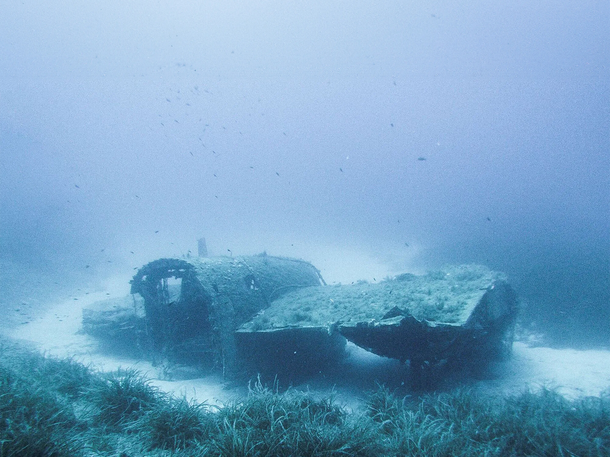 Lockheed P2V Neptune airplane dive tour