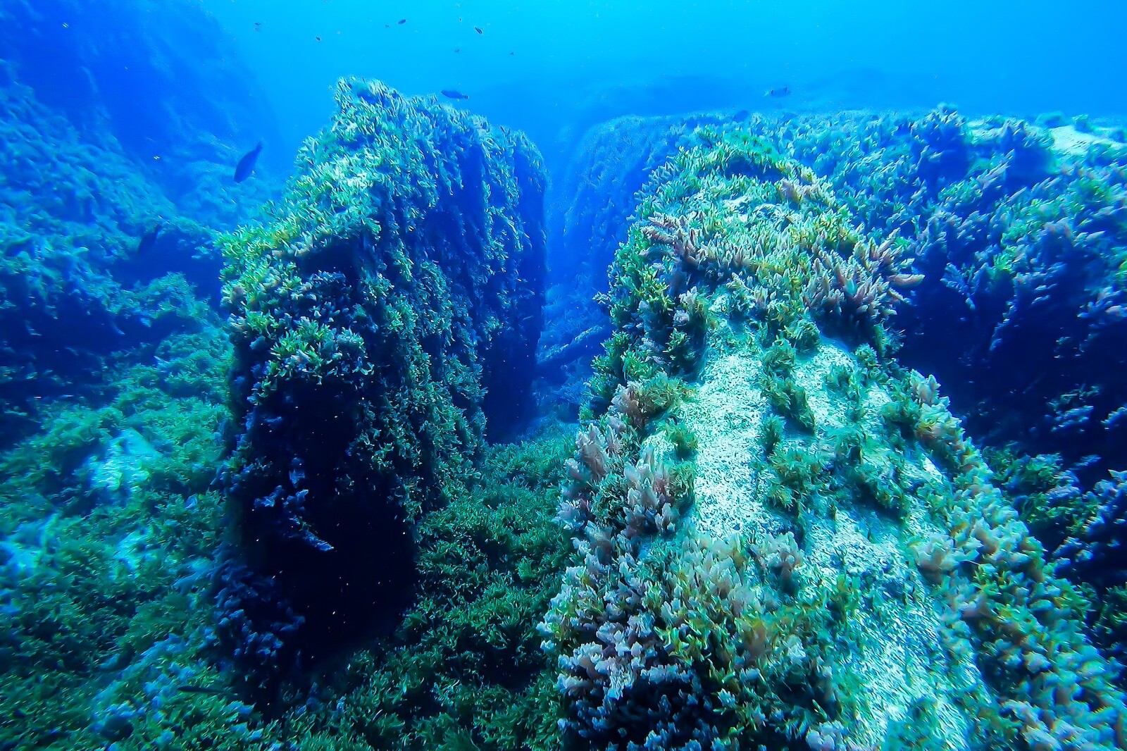 Benghisa Reef