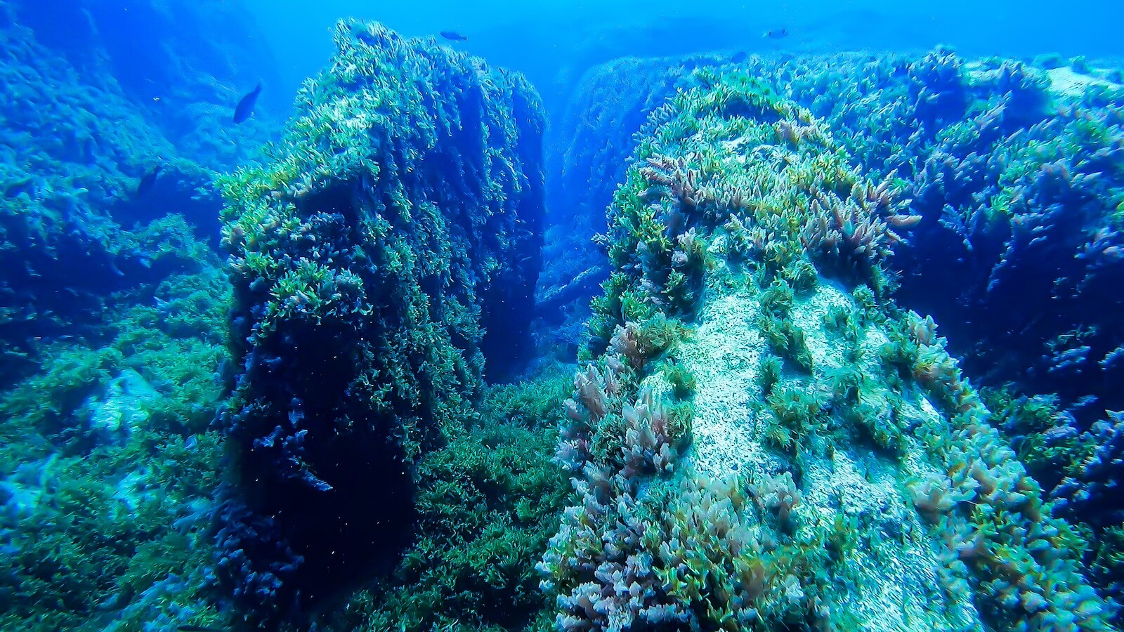 Benghisa Reef