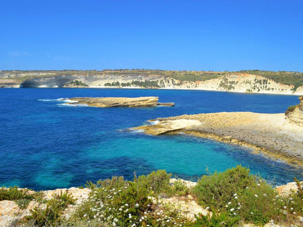 Half-day marsaxlokk boat tour