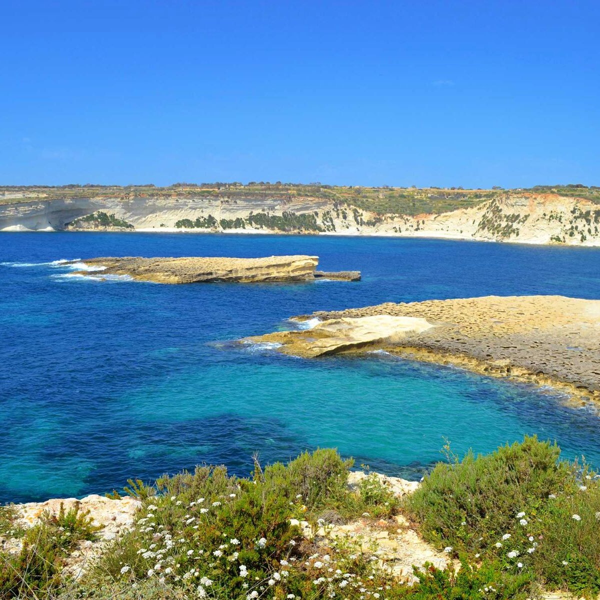 Half-day marsaxlokk boat tour