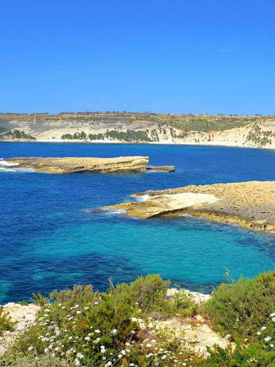 Half-day marsaxlokk boat tour