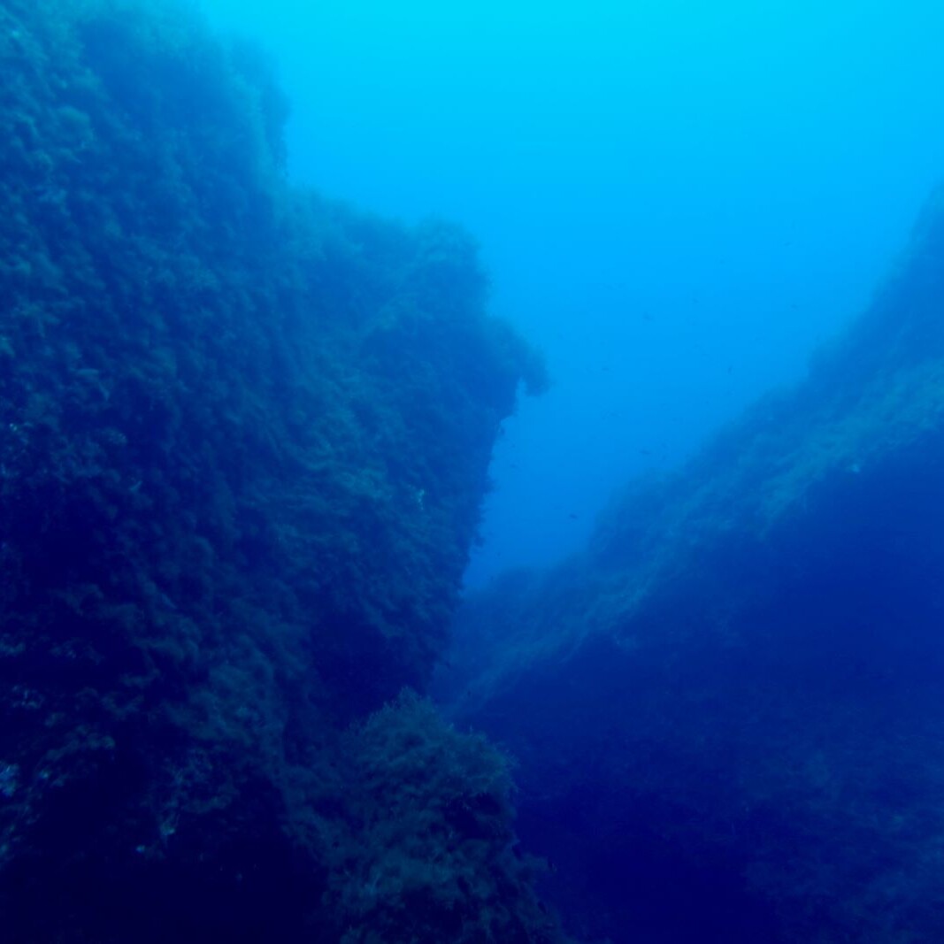 South reef of Delimara point